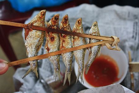 Grilled Fish in Ba Be Lake
